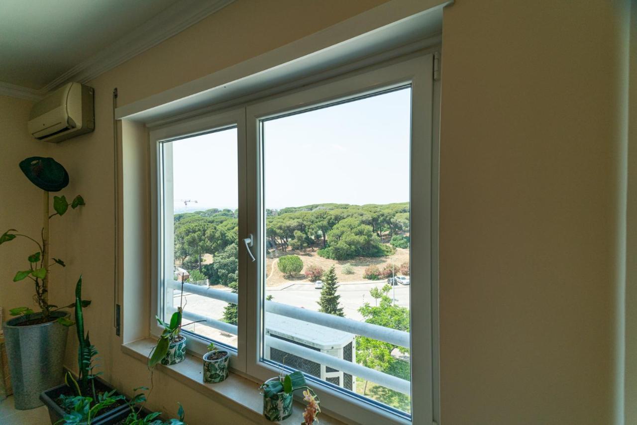 Family Comfort House Seixal  Εξωτερικό φωτογραφία